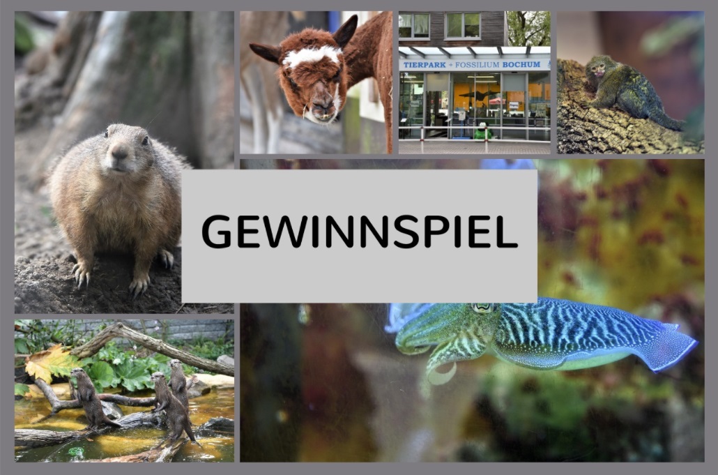 Gewinnspiel - Tierpark + Fossilium Bochum