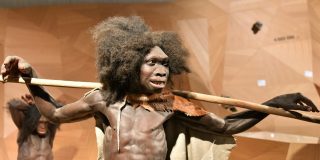 Neanderthal Museum